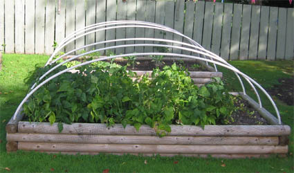 Maybe this raised-garden bed is deer proofed.