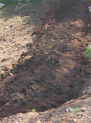 Raised bed to plant the garlic in